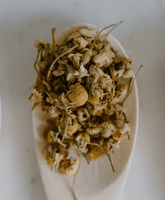 What is Naturopathic Medicine?