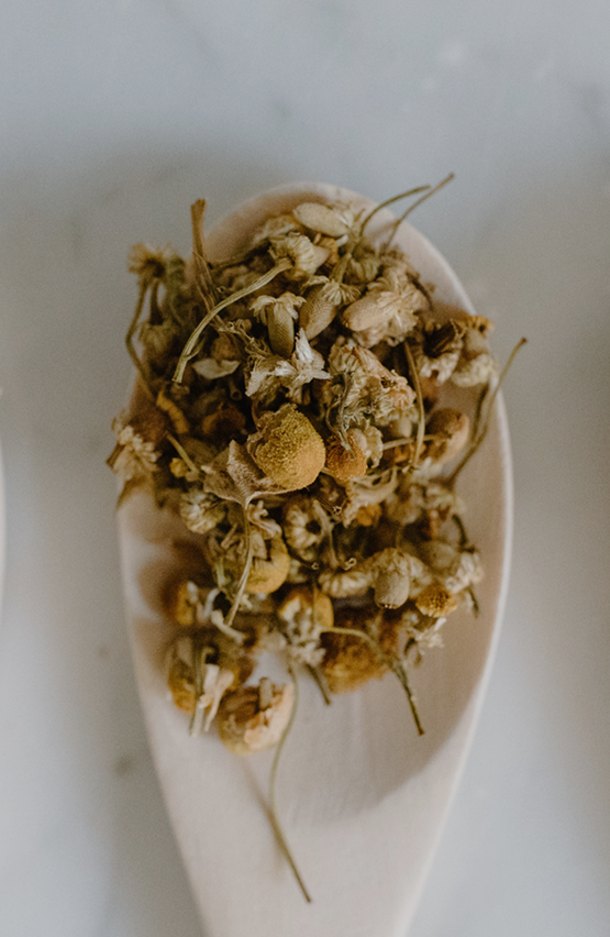 Close-up of dried chamomile flowers resting in a white spoon on a marble surface.